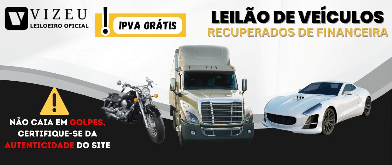 Vizeu leilões
