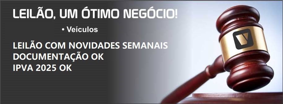 Vizeu leilão