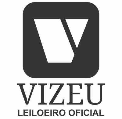 Vizeu leilões